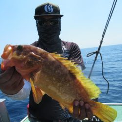 真祐丸 (しんゆうまる) 釣果