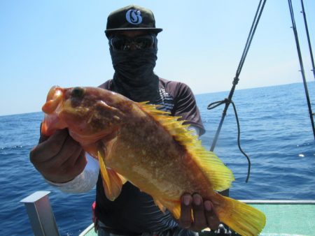 真祐丸 (しんゆうまる) 釣果