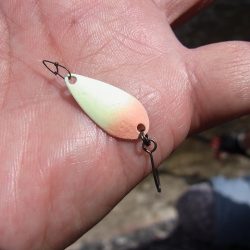 平谷湖フィッシングスポット 釣果