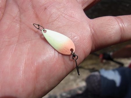 平谷湖フィッシングスポット 釣果