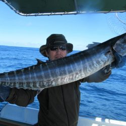 真祐丸 （しんゆうまる） 釣果