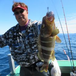 真祐丸 （しんゆうまる） 釣果