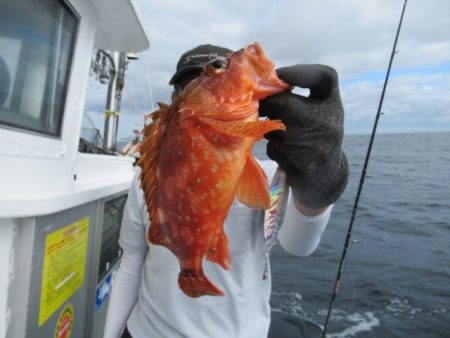 真祐丸 （しんゆうまる） 釣果