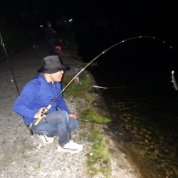 平谷湖フィッシングスポット 釣果