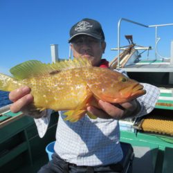 真祐丸 (しんゆうまる) 釣果