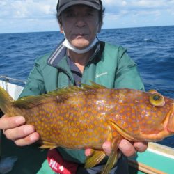 真祐丸 (しんゆうまる) 釣果