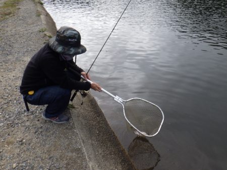 平谷湖フィッシングスポット 釣果