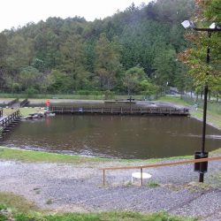 平谷湖フィッシングスポット 釣果