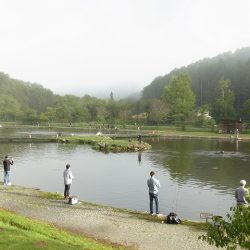 平谷湖フィッシングスポット 釣果