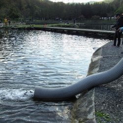 平谷湖フィッシングスポット 釣果