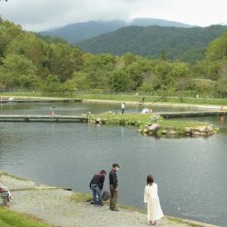 平谷湖フィッシングスポット 釣果