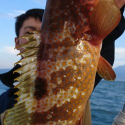 遊漁船 家入 釣果