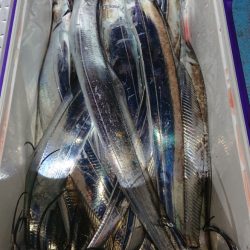 シースナイパー海龍 釣果