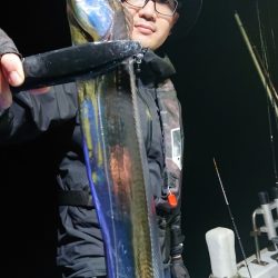 シースナイパー海龍 釣果