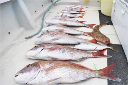 KIM Fishing Guide Ser…