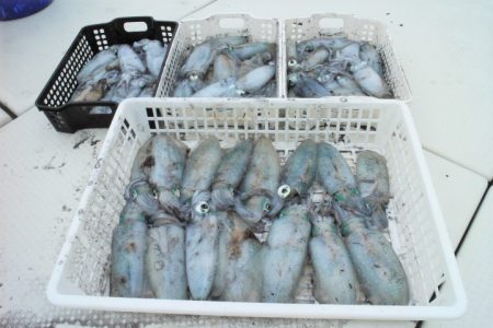 KIM Fishing Guide Service 釣果