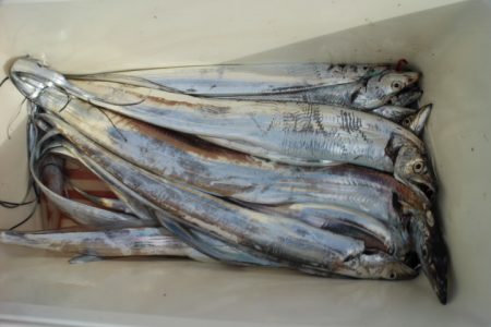 KIM Fishing Guide Service 釣果