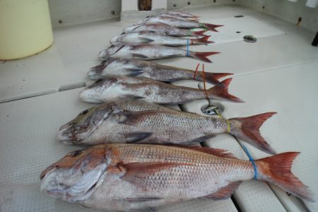 KIM Fishing Guide Ser…