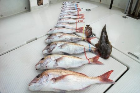 KIM Fishing Guide Ser…