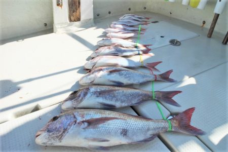 KIM Fishing Guide Ser…