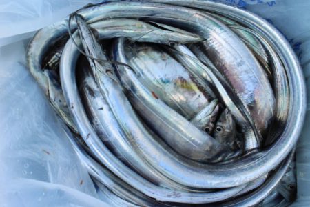 KIM Fishing Guide Ser…