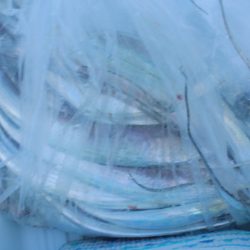 KIM Fishing Guide Service 釣果