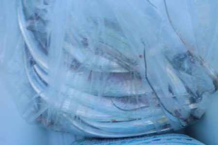 KIM Fishing Guide Service 釣果