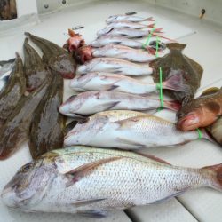 KIM Fishing Guide Service 釣果