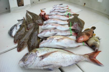 KIM Fishing Guide Ser…