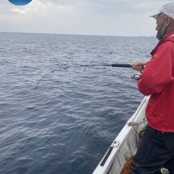 幕島丸 釣果