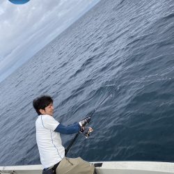 幕島丸 釣果