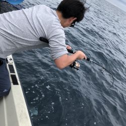 幕島丸 釣果