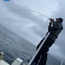 幕島丸 釣果