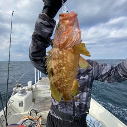 幕島丸 釣果