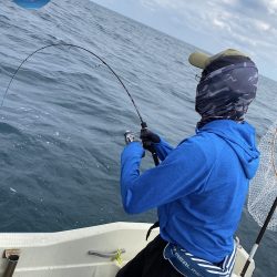 幕島丸 釣果