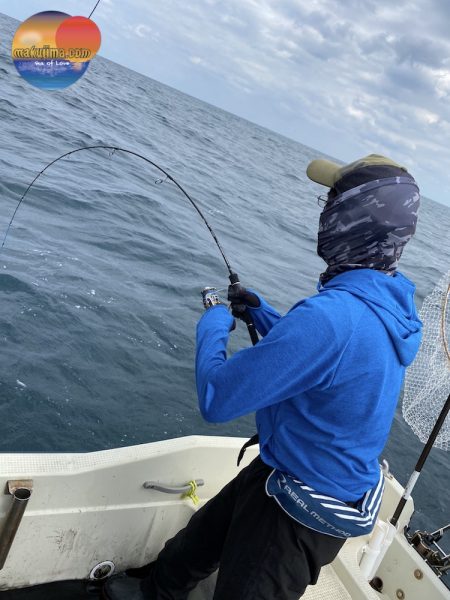 幕島丸 釣果