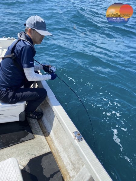 幕島丸 釣果