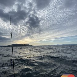 幕島丸 釣果