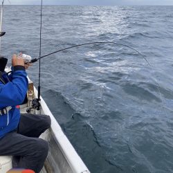 幕島丸 釣果