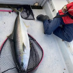 幕島丸 釣果