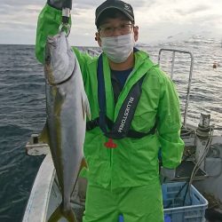 幕島丸 釣果