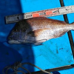 フィッシングガイド りょう 釣果