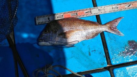 フィッシングガイド りょう 釣果