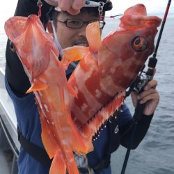 渡船屋たにぐち 釣果