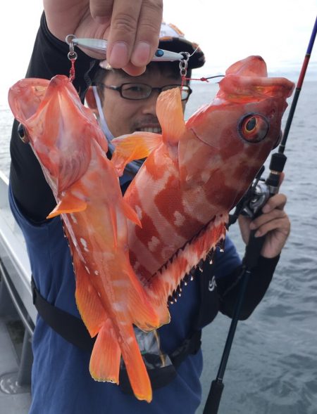 渡船屋たにぐち 釣果