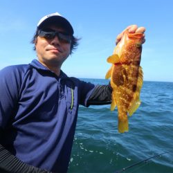 エル・クルーズ 釣果