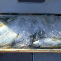 エル・クルーズ 釣果