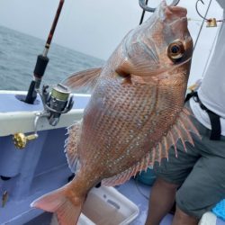 新幸丸 釣果