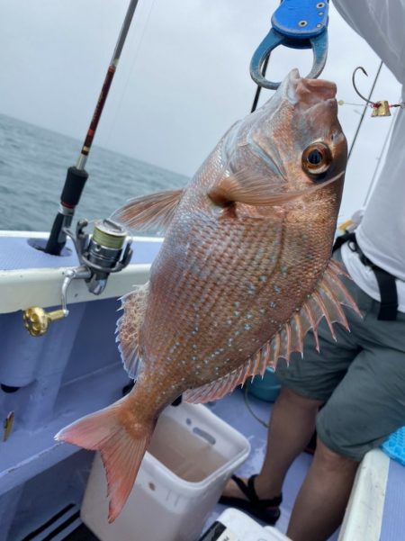 新幸丸 釣果