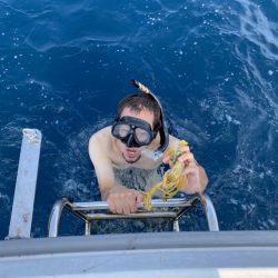 アマテラス 釣果